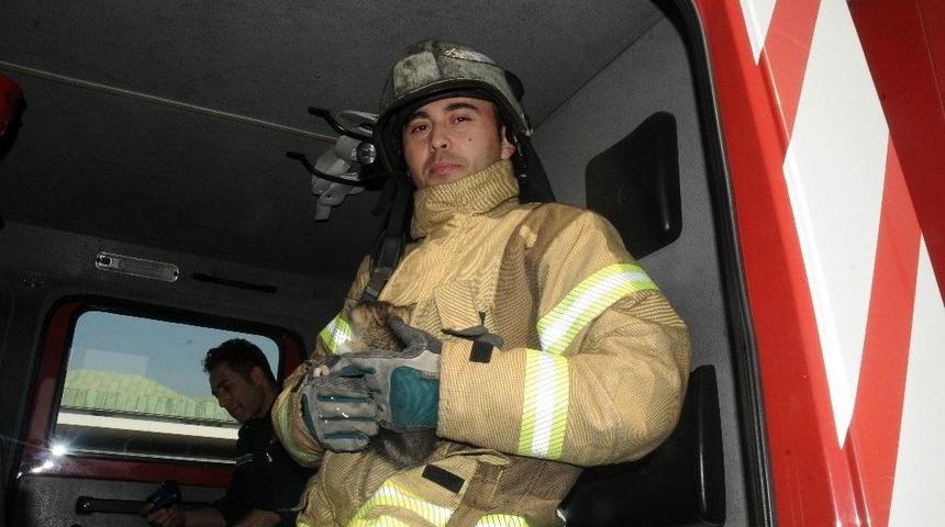 Atat&uuml;rk Havalimanı&rsquo;nda Kedi Kurtarma Operasyonu