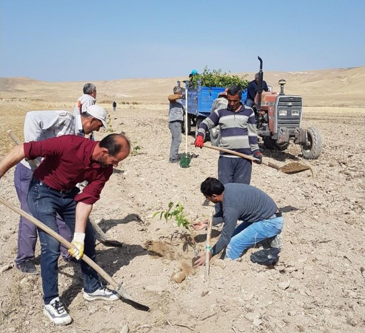 Tuşba Belediyesinden &lsquo;model Ceviz Bah&ccedil;esi&rsquo; Projesi