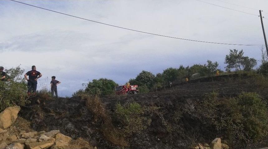 Zonguldak’ta 2 Dönüm Tarla Yandı
