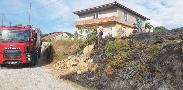 Zonguldak’ta 2 Dönüm Tarla Yandı