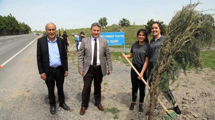 Şehit Komandolar Caddesi&rsquo;nde Ağa&ccedil;landırma