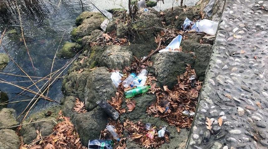 Sapanca G&ouml;l&uuml; Kıyısından 250 Torba &Ccedil;&ouml;p Toplandı