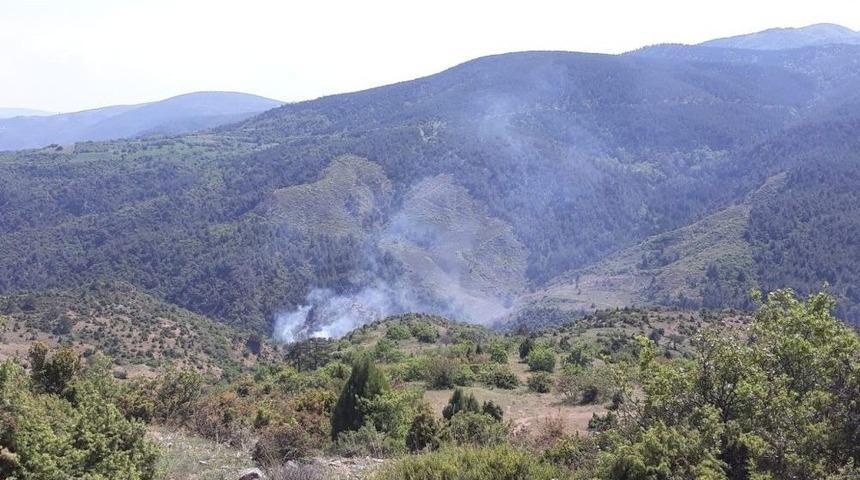 Bilecik&rsquo;teki Orman Yangınında 6 D&ouml;n&uuml;m Alan Hasar G&ouml;rd&uuml;