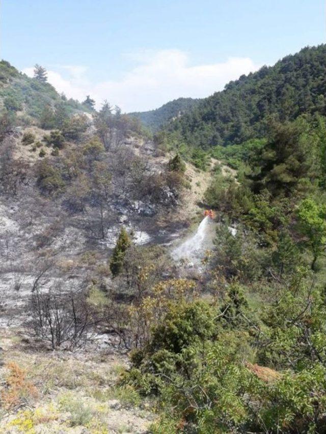 Bilecik&rsquo;teki Orman Yangınında 6 D&ouml;n&uuml;m Alan Hasar G&ouml;rd&uuml; 3