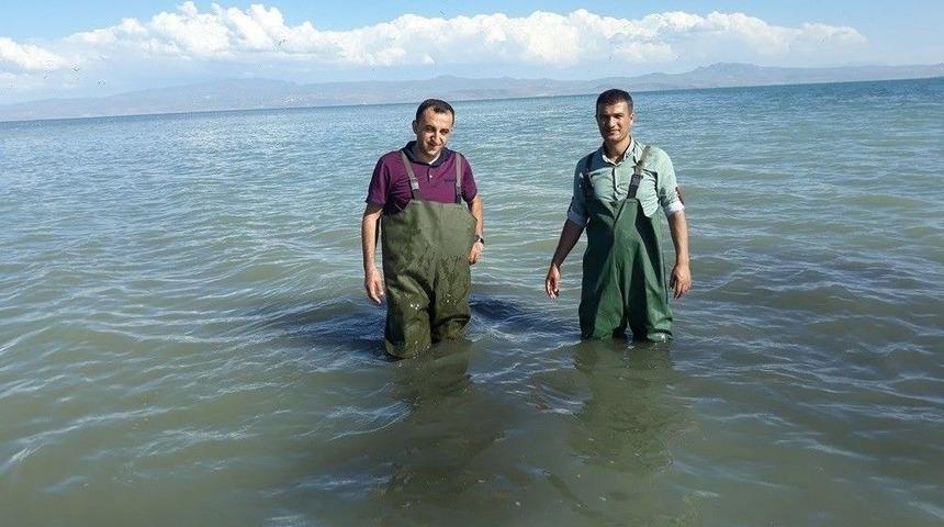 Van&rsquo;da 500 Kilogram Ka&ccedil;ak Avlanmış Balık Ele Ge&ccedil;irildi