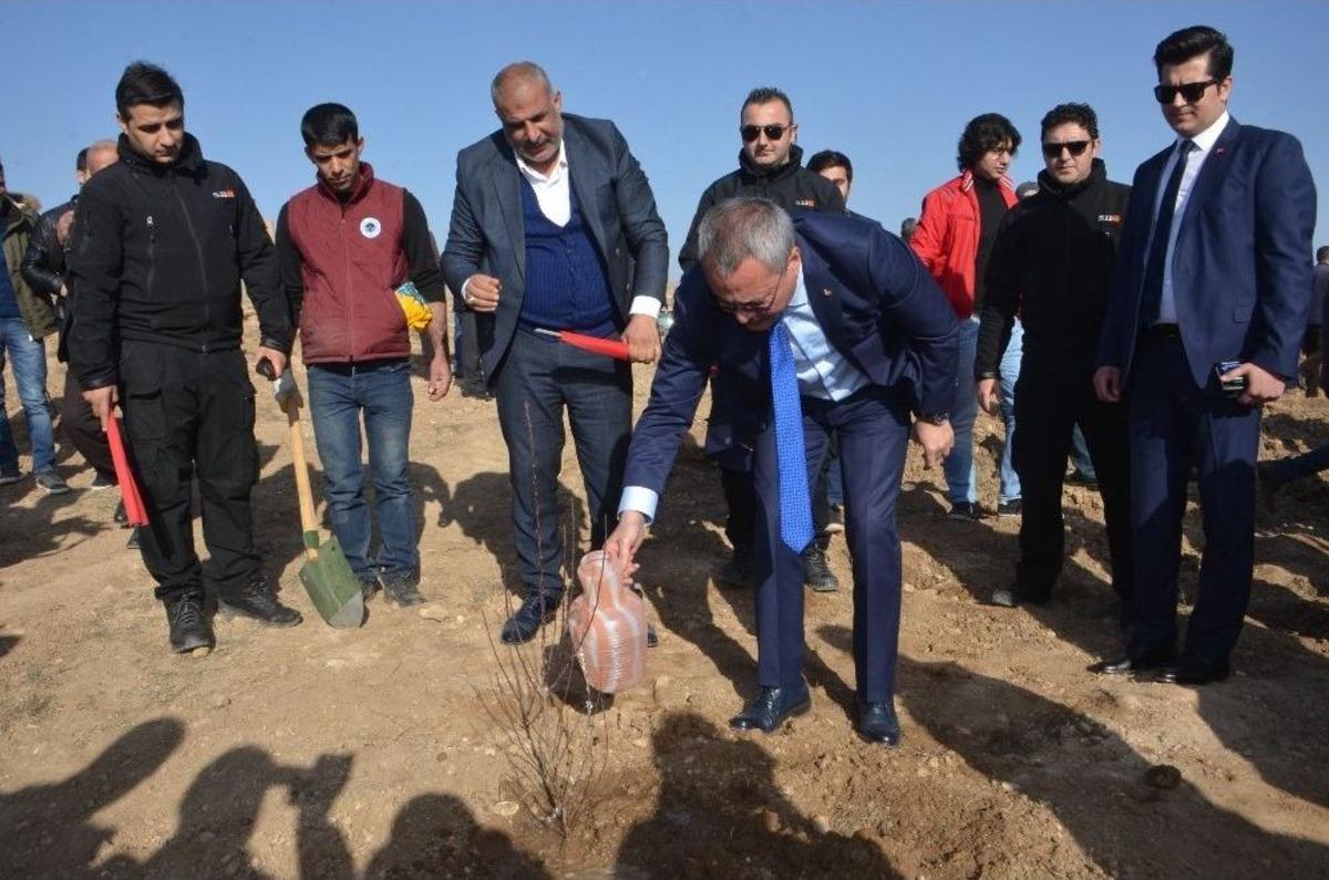 Batman&rsquo;da Şehitler Anısına 2 Bin 300 Fidan Dikildi