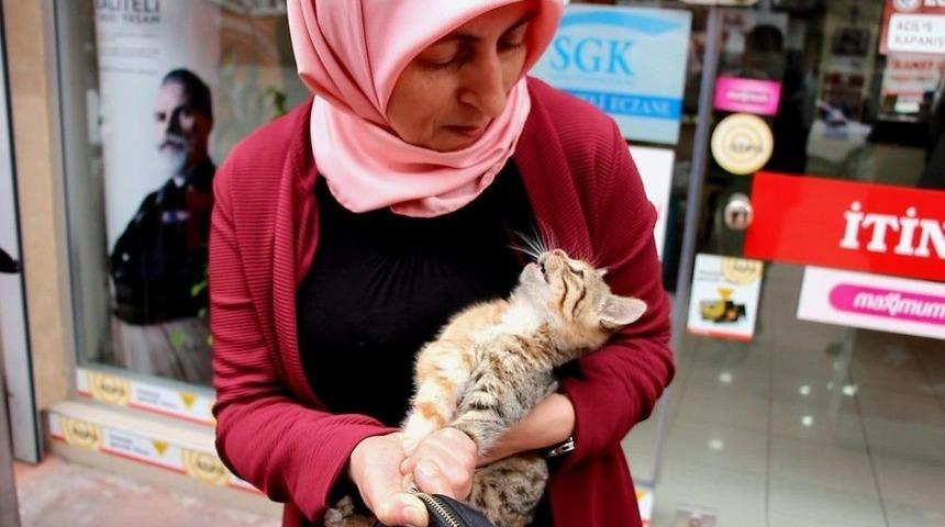 Elini Kanlar İ&ccedil;inde Bıraktı Ama O, Kediyi Bırakmadı