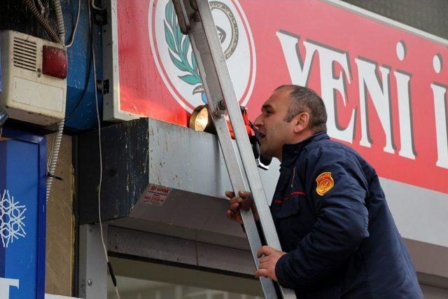 Elini Kanlar İçinde Bıraktı Ama O, Kediyi Bırakmadı