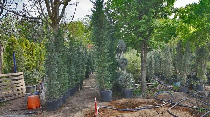 İş Adamı Rıza G&uuml;ral, Belediyeye Fidan Hediye Etti