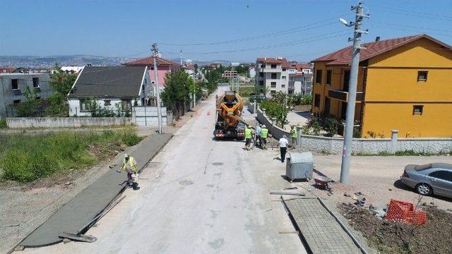 Yayalar Ve Araç Sürücüleri İçin Kullanışlı Yollar