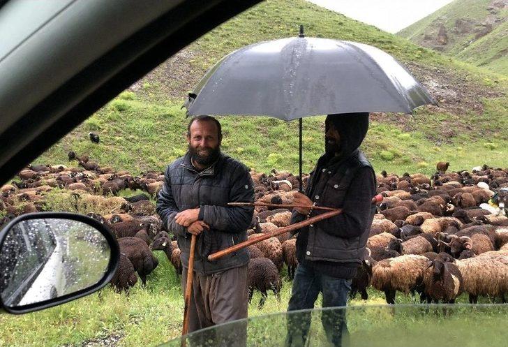 Çobanlar Koyun Sürüsüyle Doluya Tutuldu G2