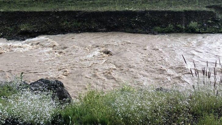 Çobanlar Koyun Sürüsüyle Doluya Tutuldu G5