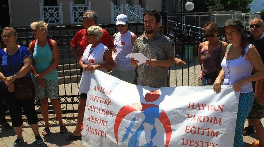 Fethiye&rsquo;de Hayvan Severlerden Tepki