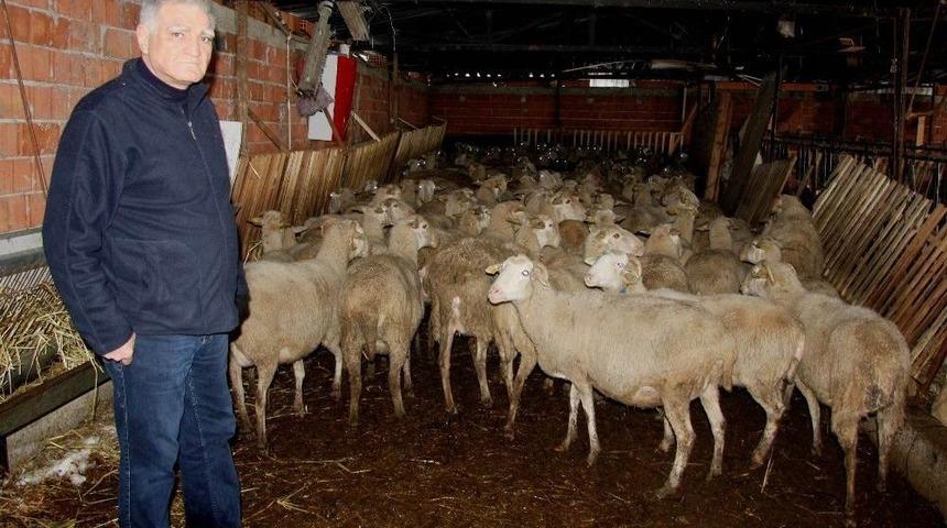 "300 Koyun Projesi Cumhuriyet Tarihi Boyunca D&uuml;ş&uuml;n&uuml;lm&uuml;ş En Muhteşem Projedir"