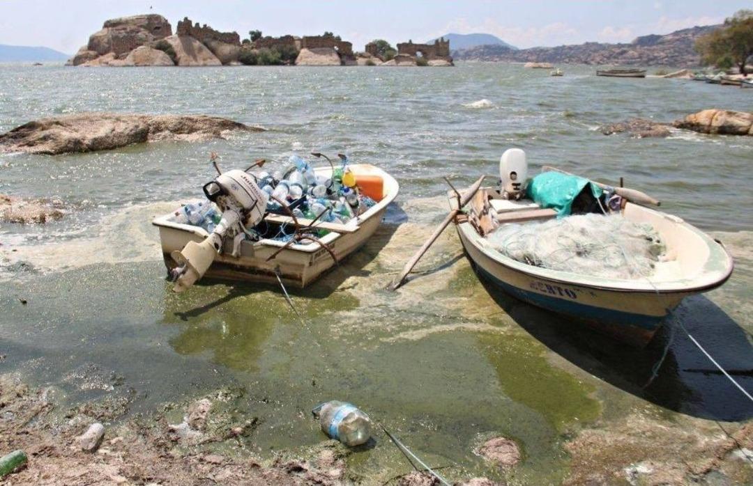 Bafa G&ouml;l&uuml; Yine Yeşile Boyandı