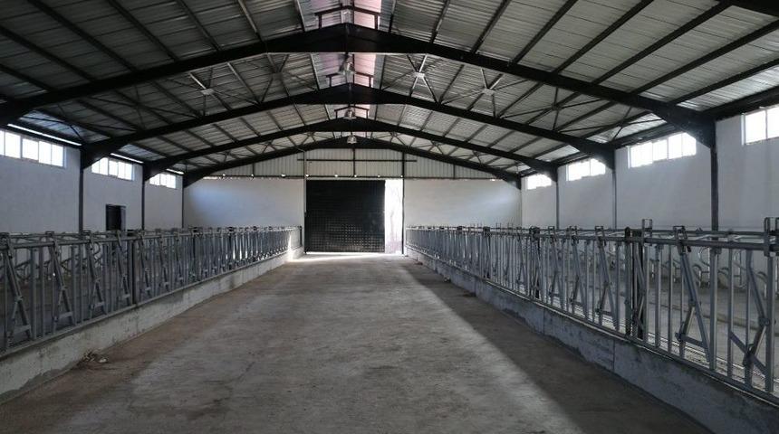 Erzincan&rsquo;da Modern Ahır Projeleri Y&uuml;kselmeye Devam Ediyor