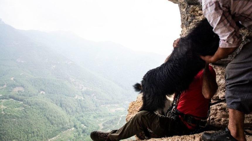 Akut&rsquo;tan Ke&ccedil;i Kurtarma Operasyonu