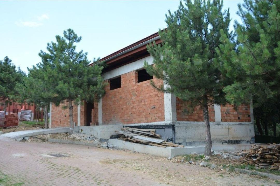 T&uuml;rkiye&rsquo;de İlk Kedi Tedavi &Uuml;nitesi Bursa&rsquo;da A&ccedil;ılıyor