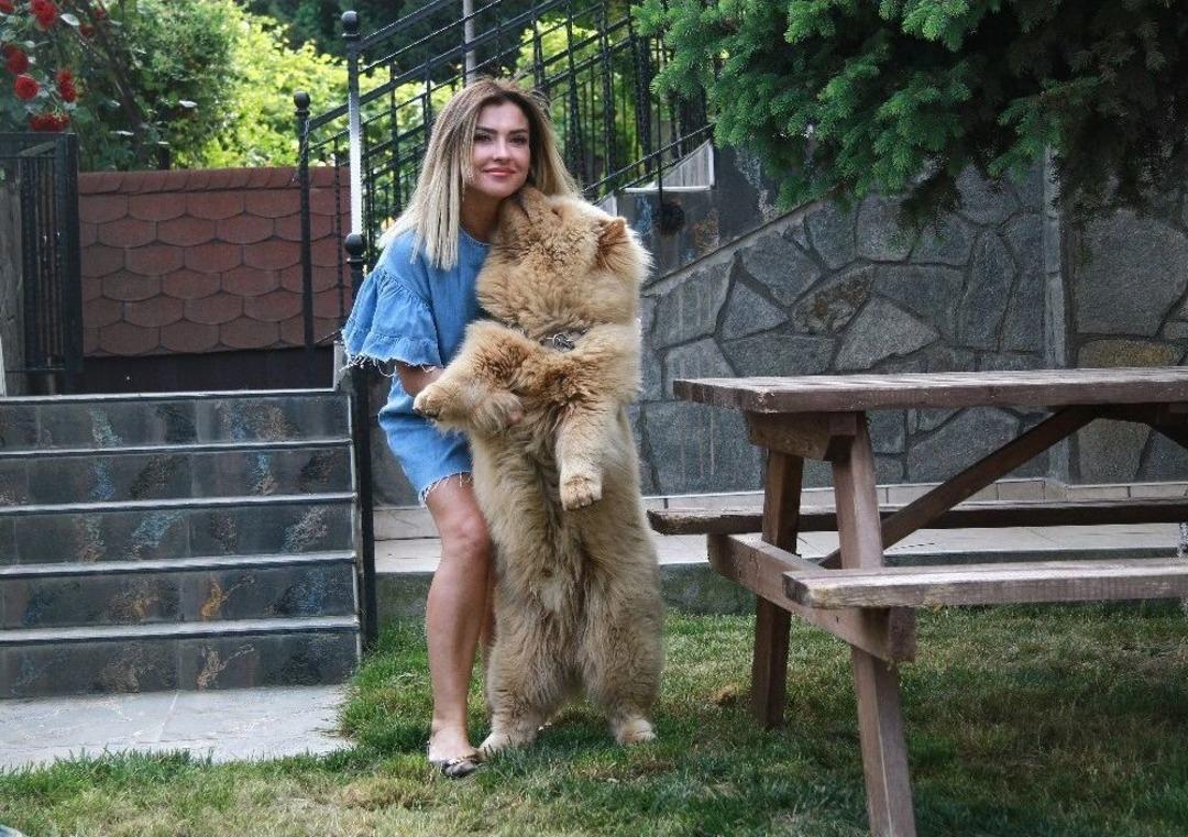 K&uuml;&ccedil;&uuml;k Emir&rsquo;in Duası Kabul Oldu, Hırsızların &Ccedil;aldığı &rsquo;herk&uuml;l&rsquo; Bulundu