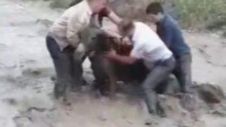 Eşeği Selden Kurtarmak İçin Canlarını Tehlikeye Attılar