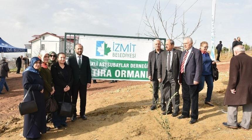 Mehmet&ccedil;ik İ&ccedil;in Zeytin Fidanı Diktiler