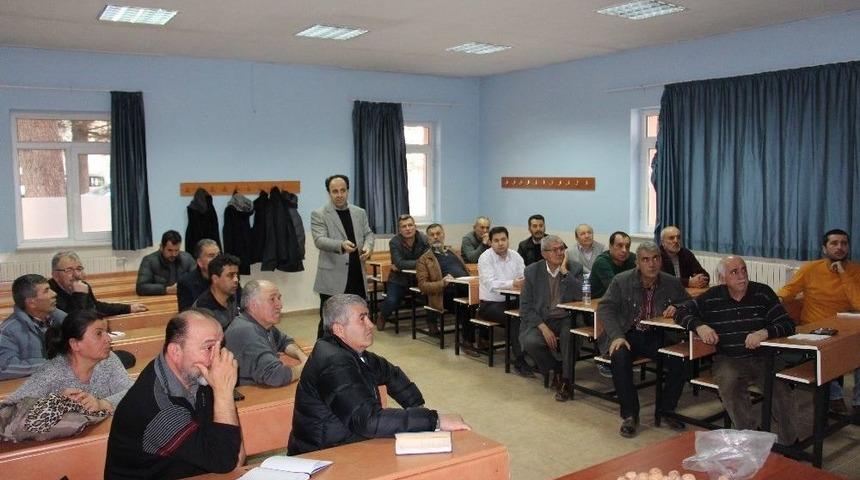 Ceviz G&ouml;n&uuml;ll&uuml;leri