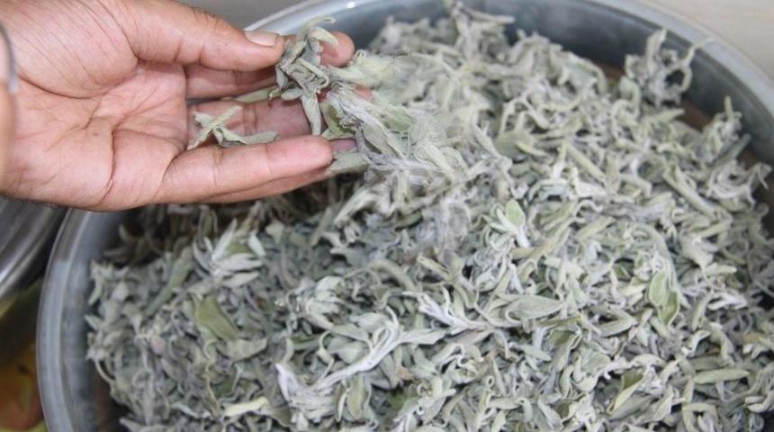 (&ouml;zel) Sıcak Havalara Bitkisel &Ccedil;are