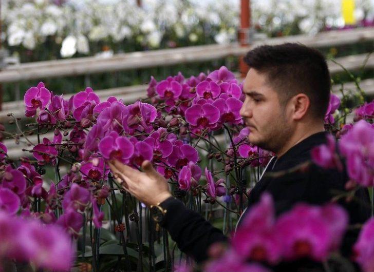 Sevgililerin Orkidesi Antalya’dan G1