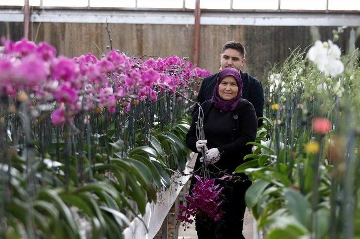 Sevgililerin Orkidesi Antalya’dan G5