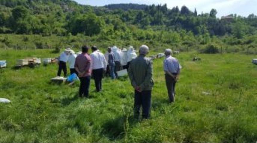 Devrek&rsquo;te Vatandaşlara Anlık Arıcılık Kursu Eğitimi Verildi