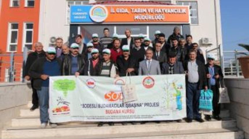 Osmaniye&rsquo;de Meyve Ağa&ccedil;larını Budama Kursu Sona Erdi