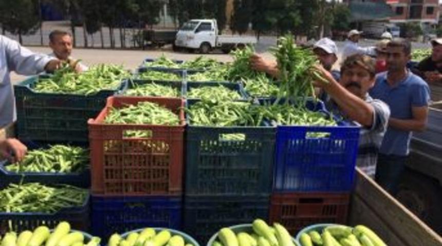 Boyalıca Fasulyesine B&uuml;y&uuml;k Rağbet