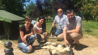 Sokak Hayvanlarına Büyükşehir Eli