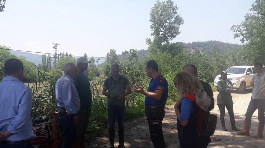Osmaneli&rsquo;nde Dolu Yağışı Tarımsal Alanda Zarara Yol A&ccedil;tı