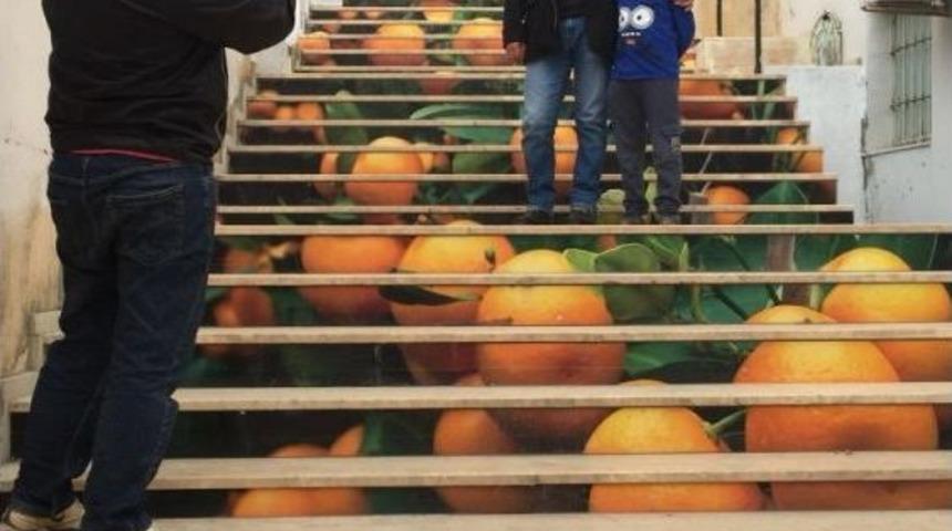 Menderes&rsquo;te Mandalina Yolu