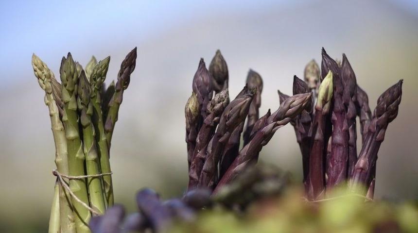 B&uuml;y&uuml;kşehirden Yeni Bir Kırsal Kalkınma Hamlesi