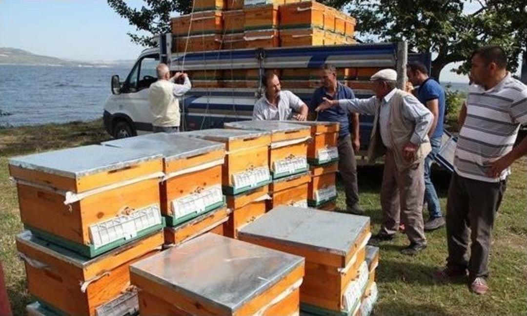 &Ccedil;anakkale&rsquo;de &Uuml;reticilere Arılı Kovan Dağıtımına Başlandı
