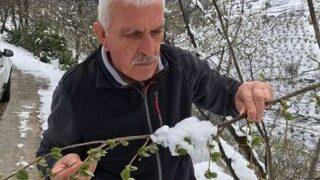 Fındıkta Şimdilik Risk Yok