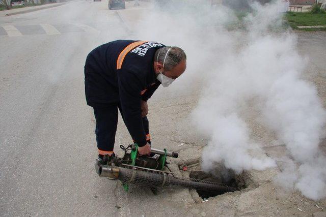 Akyazı’da İlaçlama 6 Gün Yapılıyor