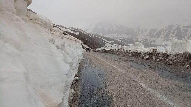 Burası Kutuplar Değil, Van