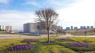 Mevsim Çiçekleri Gaziantep’i Süslüyor