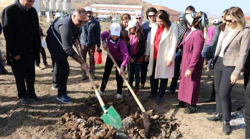 Siirt&rsquo;te Bereket Ormanı&rsquo;na Fidan Dikildi