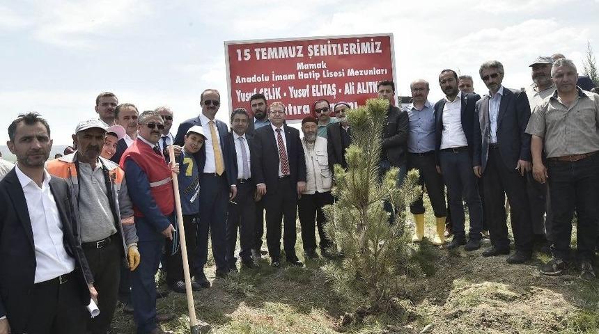 Afrin Şehitleri Anısına Bin Ağa&ccedil; Dikildi