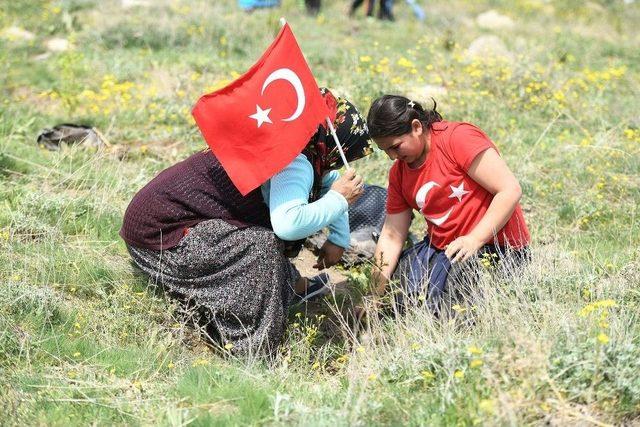 Afrin Şehitleri Anısına Bin Ağaç Dikildi