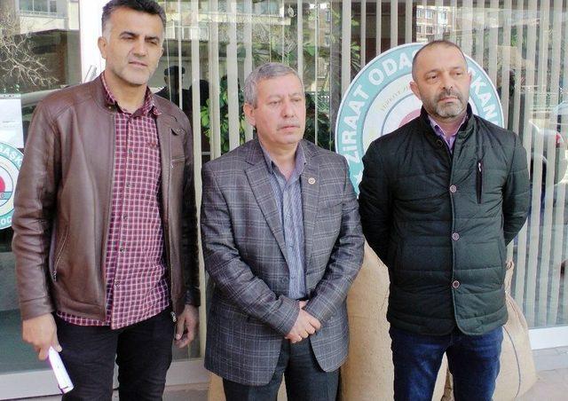 Afrin&rsquo;deki Mehmet&ccedil;iğe Fındık G&ouml;nderdiler 2