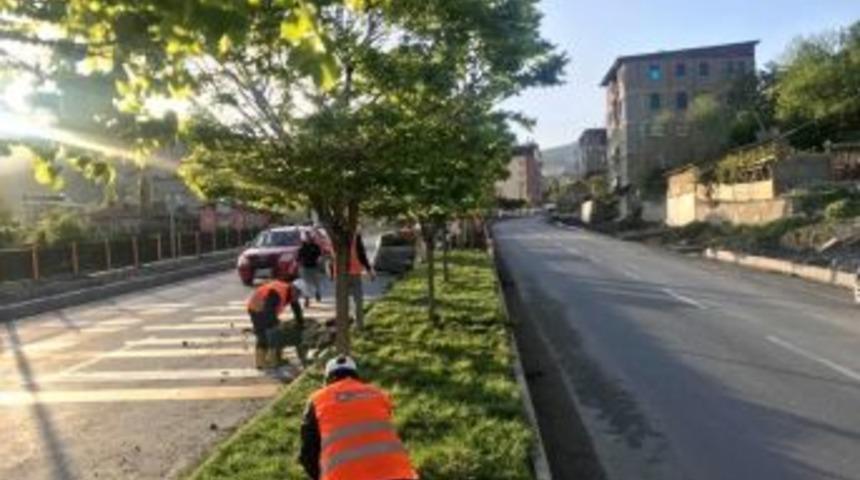 Hakkari G&uuml;zelleşiyor