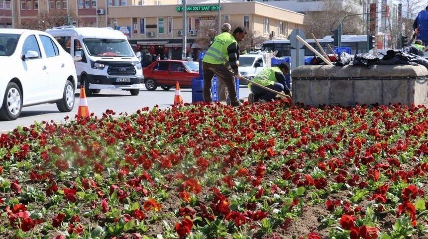 Erzincan&rsquo;da Binlerce &Ccedil;i&ccedil;ek Toprakla Buluşturuluyor