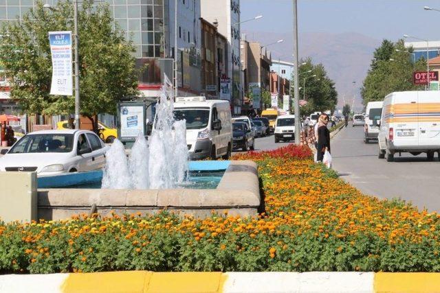 Erzincan’da Binlerce Çiçek Toprakla Buluşturuluyor