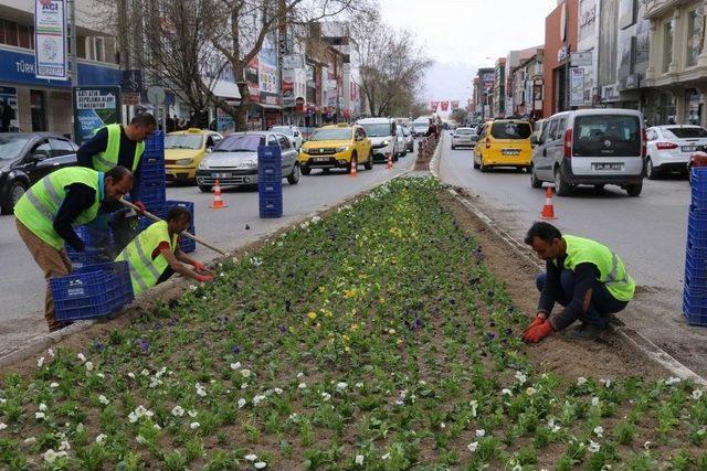 Erzincan’da Binlerce Çiçek Toprakla Buluşturuluyor