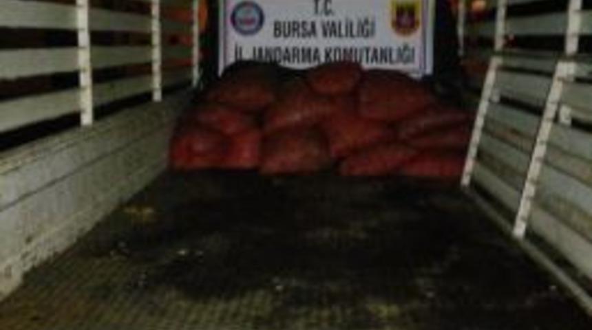 300 Kilo Midye Ele Geçirildi